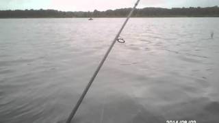 Воблер tsuribito jerkbait 105f 571
