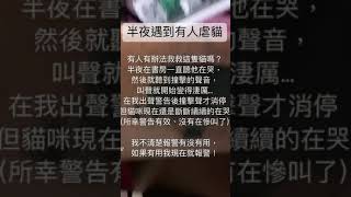 [問題] 半夜遇到有人虐貓怎麼辦？