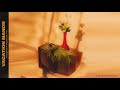 To Be Misunderstood by Vacation Manor