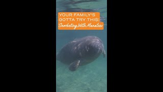 You've Gotta Try: Meeting a Manatee with Visit Florida