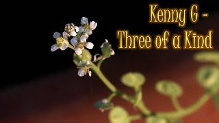 Kenny G - Three of a Kind