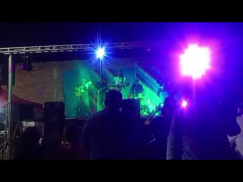 El Toba Toledo en el sauzalito Chaco Impenetrable. 2026