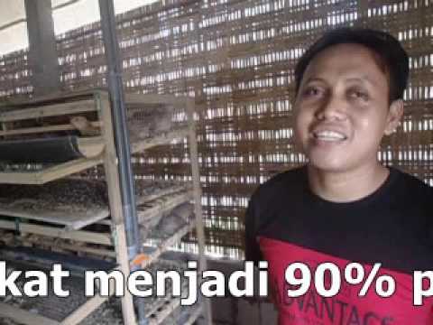Vitamin untuk potensi Evalar Pemanas jok mempengaruhi potensi