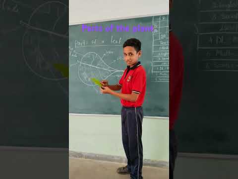 Parts of the plant #ytshorts #plantcare #learning #playway