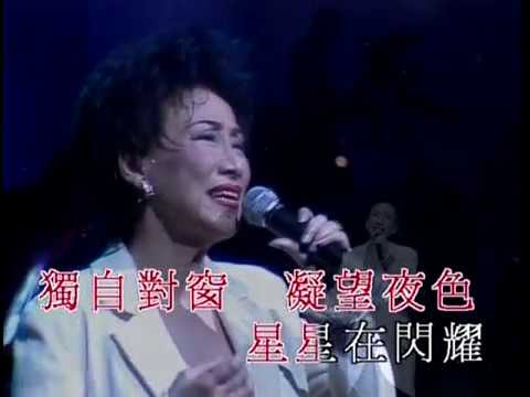 潘迪華 - 意難忘 (潘迪華．情牽真我演唱會)