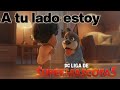 DC Liga De Súper Mascotas A Tu Lado Estoy Escena Del Pasado De Ace Español Latino
