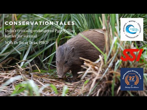 Conservation Tales - The Pygmy Hog Conservation Trust