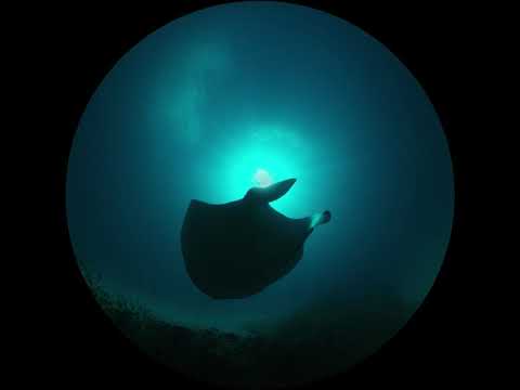 Ningaloo - Australia’s Other Great Reef: Full Dome Experience