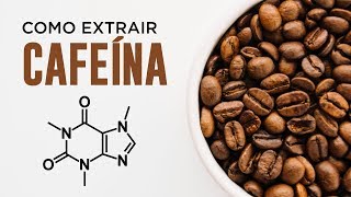 Como Extrair a CAFEÍNA do Café