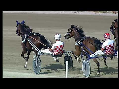 Napoli Trotto 03/09/2021 - 4ª corsa