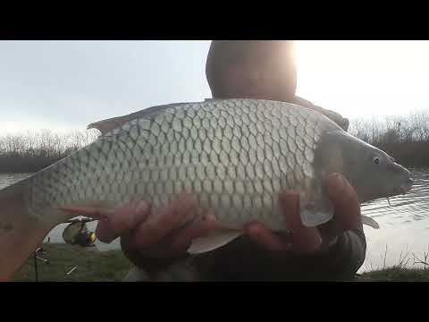 PESCUIT STATIONAR 12 H,PE LACUL SINDRILITA 1.O PARTIDA DIFICILA