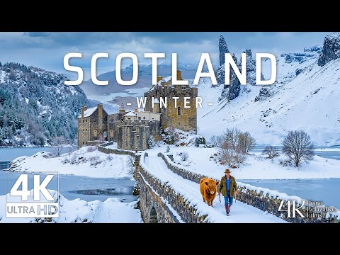 Piano Relaxation Films 4K and 2 more