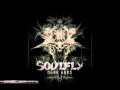 Soulfly    I and I