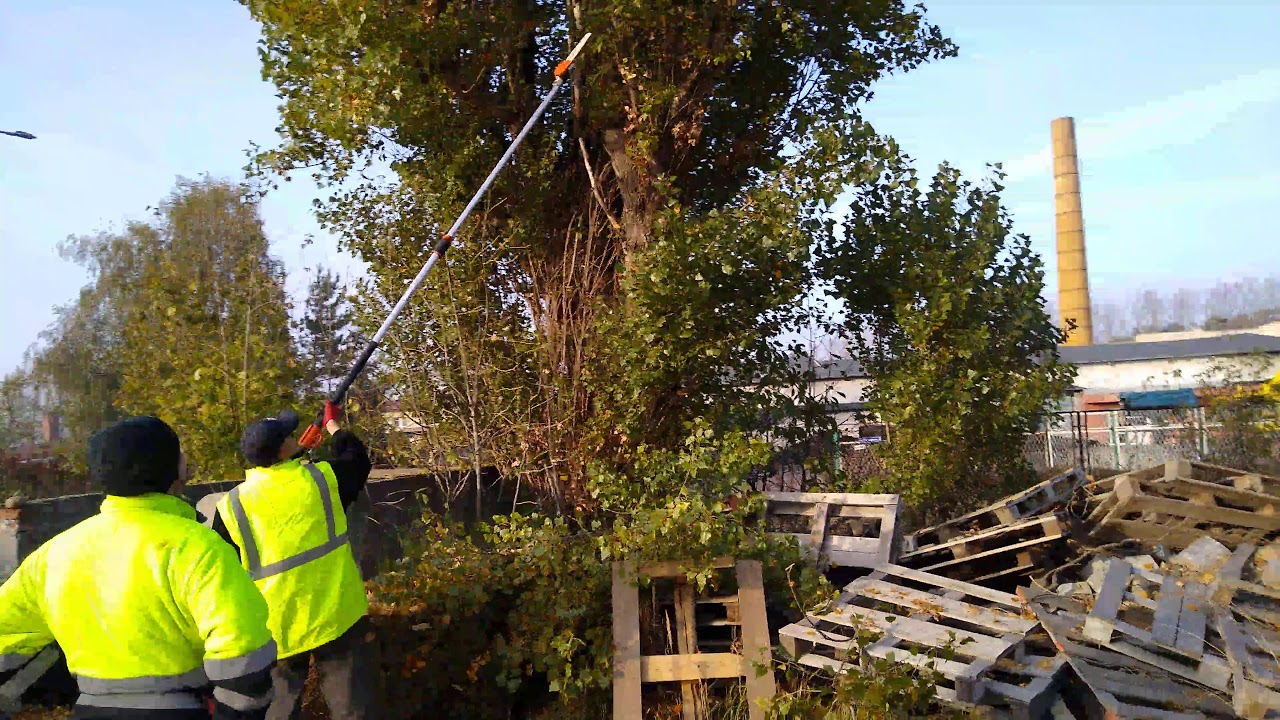 Podkrzesywarka Stihl ht 133