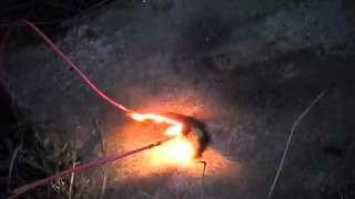 preview picture of video 'Incinerating A CD with 12kV'