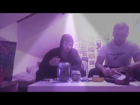 G.GRIFFIN X BAD.DANNY- (ADELANTO ||)