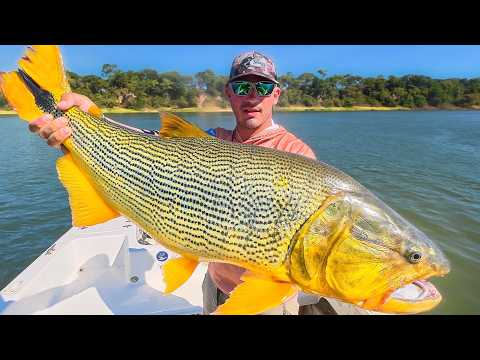 DORADOS en CORRIENTES | Pesca en Itá Ibaté‼️