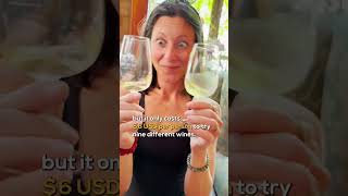 DIY Wine Bike Tour in New Zealand🍷🚲