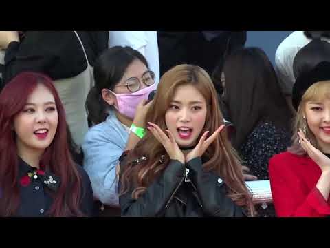 소나무, 오늘도 상큼발랄 늘푸른 매력 폭발!