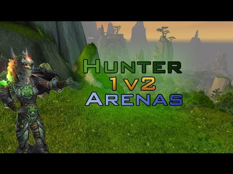 [5.4] | BM 1v2 Arenas | Pannz | Wow MOP