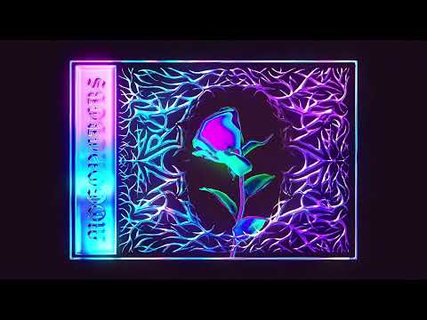 AVARA and Nika Chokheli