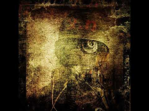 10 Nicrophorus - Dead Aliens in the Kitchen