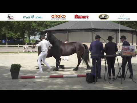 Locatiekeuring Stal de Mersken | 15 Juni 2022
