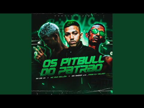 Os Pitbull do Patrão