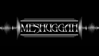 MESHUGGAH Live Sala 23 07 1994