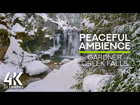 Snowy Waterfall 4K - 8 Hours Water Stream Sounds & Forest Bird Chirping for Stress Relief
