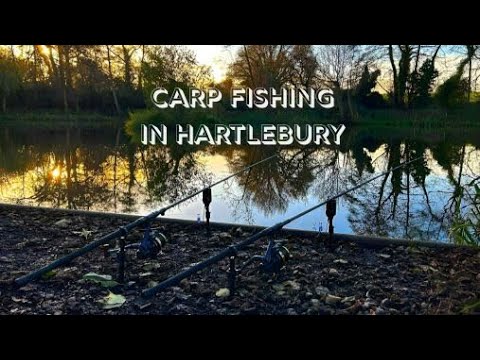 Carp fishing in Hartlebury