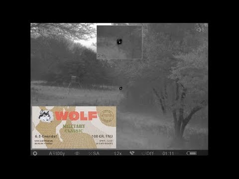 Final Wolf Military Classic Ammo Test On A Hog - Final Failure