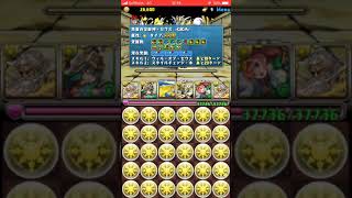 【パズドラ】ガネーシャの財窟〜ゼウスギガ一枚編成〜