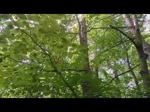 2021 - Year Of Nature: Day 219