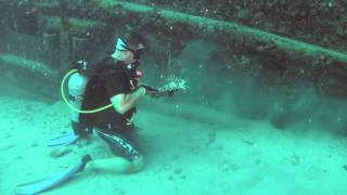 Saving Tangled Lobster -2014