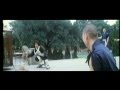 Shaolin Vs Tai Chi