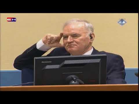 Darko Mladic izjava