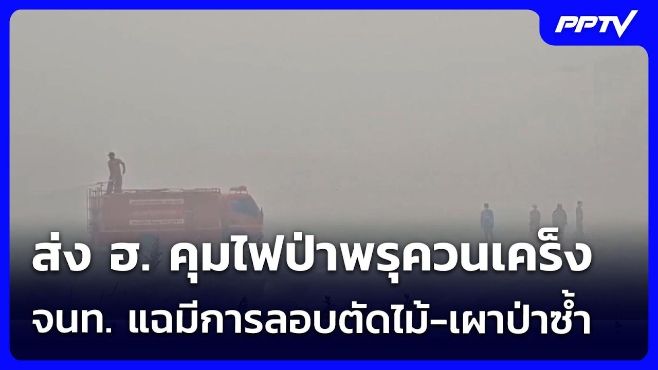ส่ง ฮ. คุมไฟป่าพรุควนเคร็ง จนท. แฉมีการลอบตัดไม้-เผ?