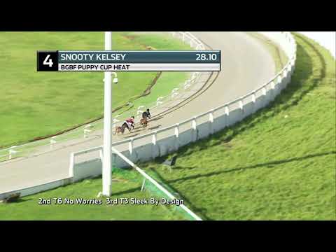 2021 BGBF PUPPY CUP - HEAT 2 - T4 SNOOTY KELSEY