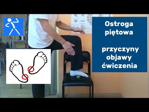 Kulturystyka są z Kulturystyka Arthur Hamidov