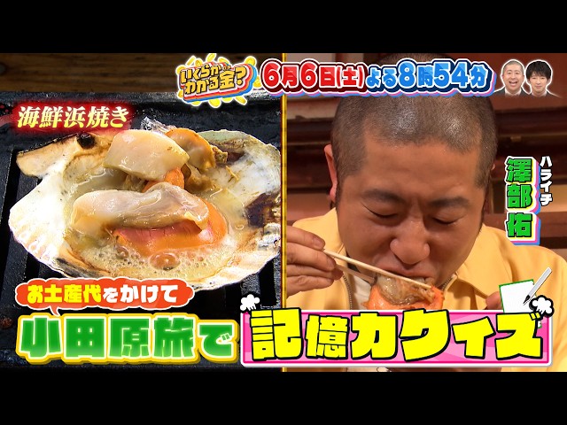 いくらかわかる金？小田原で絶品グルメ満喫旅！お土産代をかけた記憶力クイズに挑戦！