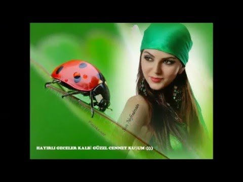 P.L.T Berna & Atilla Celik ( series band table 50 k )