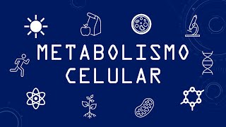Metabolismo Celular