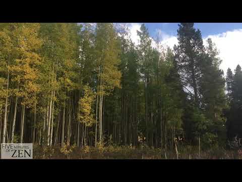Five Minutes of Zen (FMOZ 034) Fall is coming