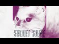 Secret Shine - Spellbound