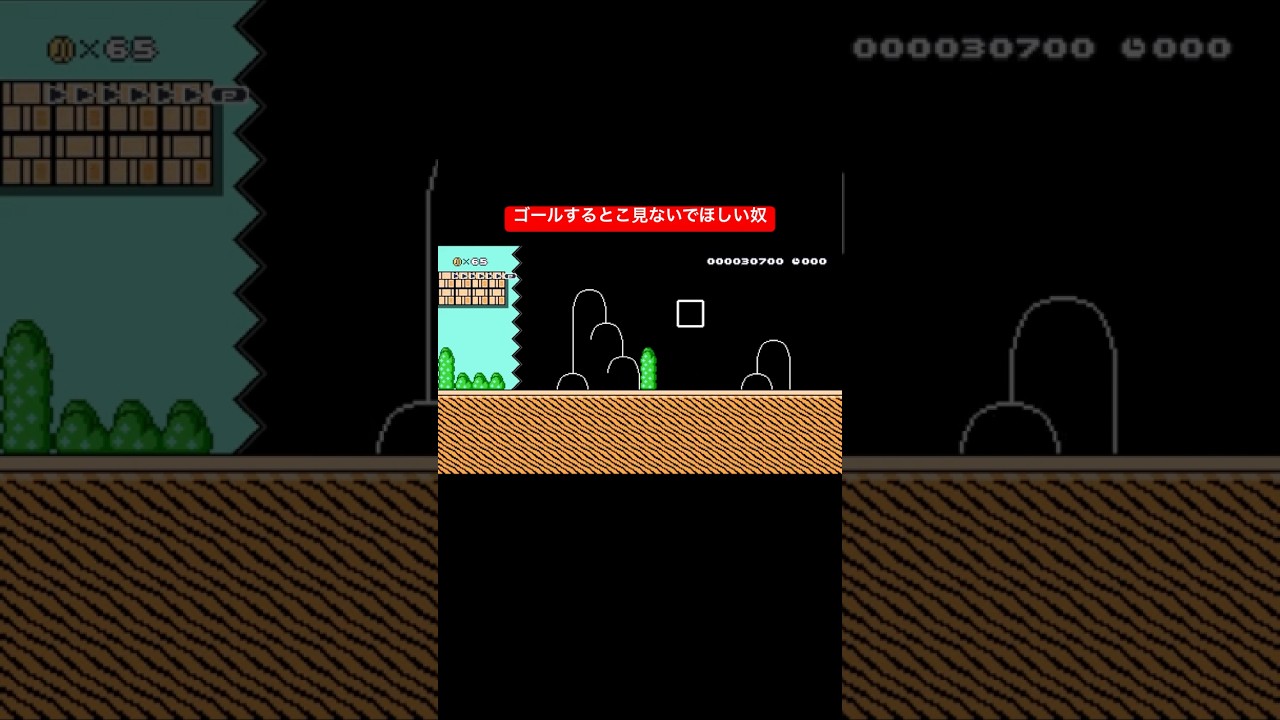 ゴールするとこ見ないでほしい奴 #カス #スーパーマリオメーカー2