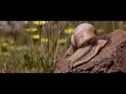 Město Radnice - UPOUTÁVKA NA DVD