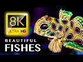 MOST BEAUTIFUL FISHES IN THE WORLD 8K ULTRA HD