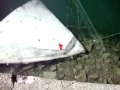 Tickle Me Elmo Canal Rescue