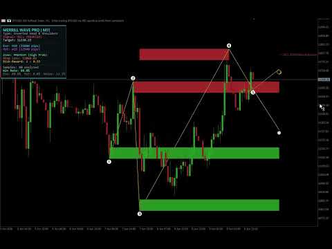 Video Merril Wave PRO